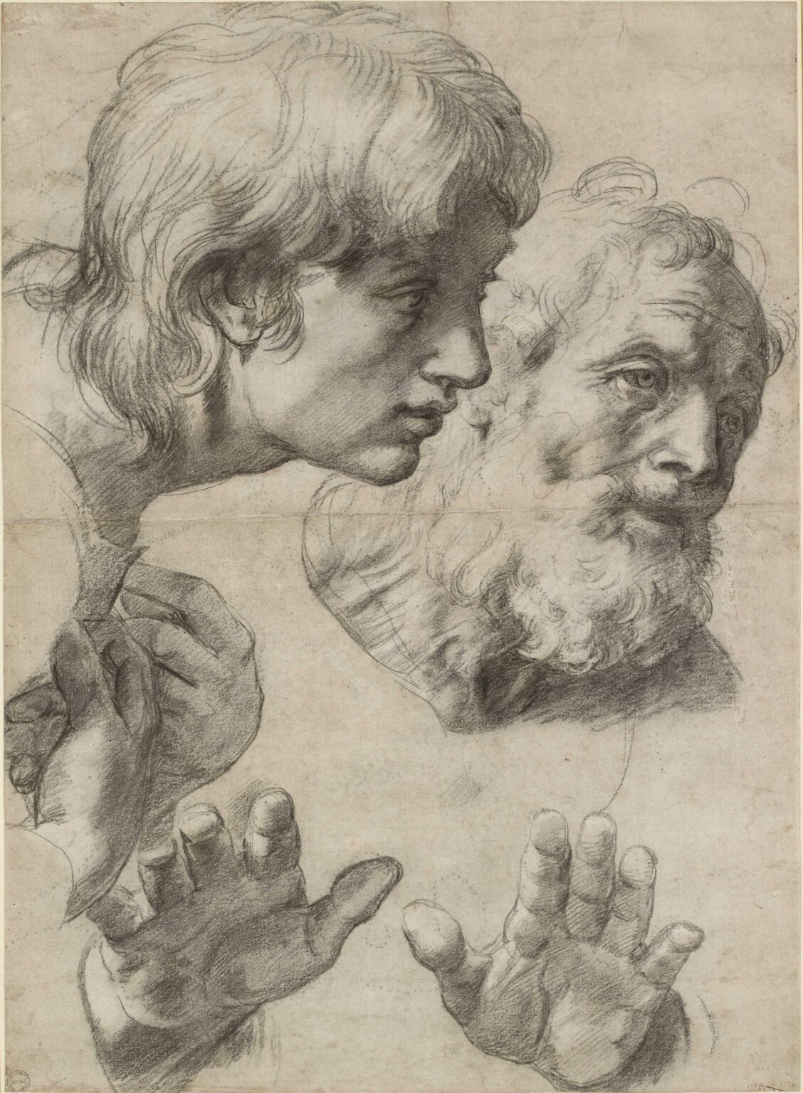 Raphael’s Drawings Exhibited at the Palais des Beaux Arts in Lille – France Today