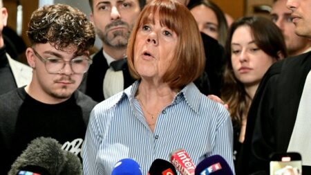Ex-husband in French mass rape trial asks for ‘forgiveness’ from his family – France 24