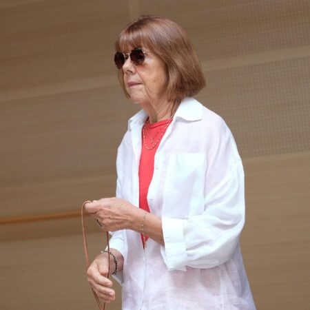 Lawyers question whether a drugged French woman was truly unconscious during alleged rapes – The Press Democrat