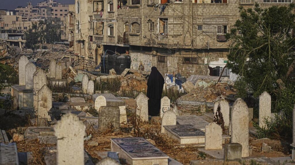 French grandmother files ‘genocide’ complaint in Paris over Israel’s Gaza killings – France 24