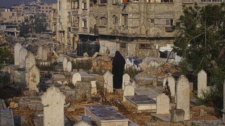 French grandmother files ‘genocide’ complaint in Paris over Israel’s Gaza killings – France 24
