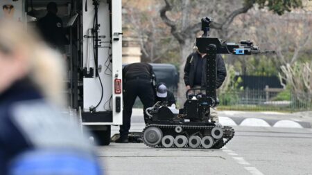 Two French researchers admit carrying out attack on Russian consulate in Marseille – France 24