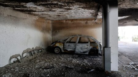 Two men charged over synagogue arson attack in France – France 24