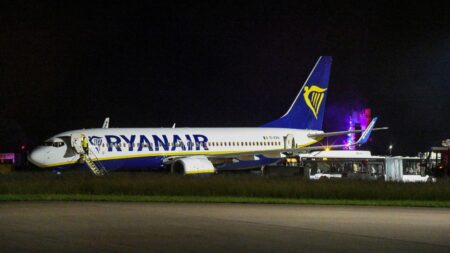 A Ryanair flight made an emergency landing after a baby was born on board – Business Insider