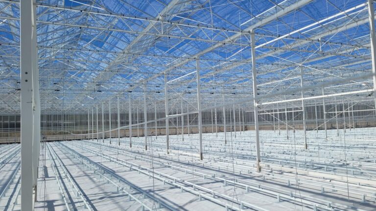 France: Certhon completes Louis Vinet project in Nantes – Hortidaily