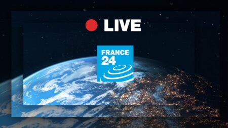 FRANCE 24 coverage resumes as public media reform bill heads back to Senate – France 24