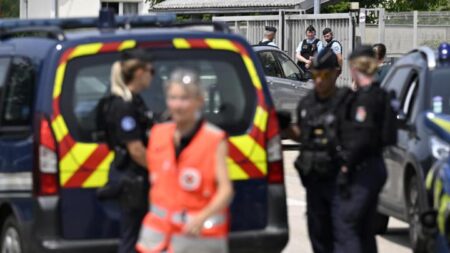 14-year-old stabs teacher to death in French school, Macron condemns action – Punch Newspapers