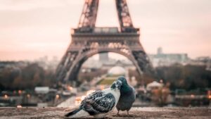 There’s a Psychological Term for Feeling Disappointed by Traveling to Paris—and It Can Have Intense Symptoms – Travel + Leisure