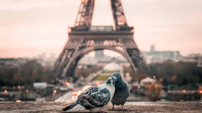 There’s a Psychological Term for Feeling Disappointed by Traveling to Paris—and It Can Have Intense Symptoms – Travel + Leisure