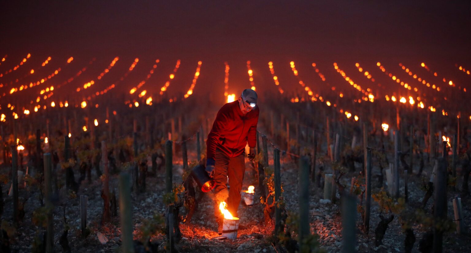 Bonfire of the vineyards gathers pace in Bordeaux – The Connexion