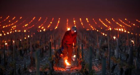 Bonfire of the vineyards gathers pace in Bordeaux – The Connexion