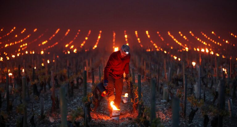 Bonfire of the vineyards gathers pace in Bordeaux – The Connexion