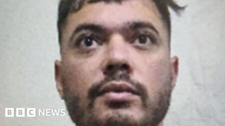 French inmate who escaped via released cellmate’s luggage arrested – France 24