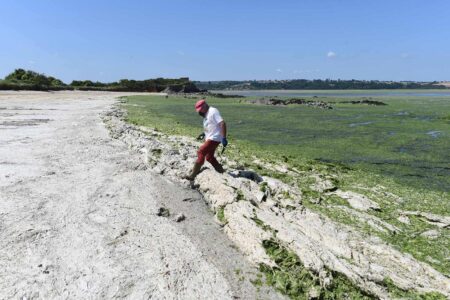 France: State responsible for jogger’s toxic algae death – DW