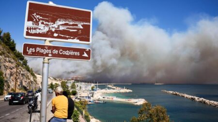 Wildfire threatens Marseille, shuts airport in southern France – AOL.com