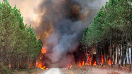 France wildfires: Inferno engulfs 2,000 hectares; Marseille airport closed | In pics – WION