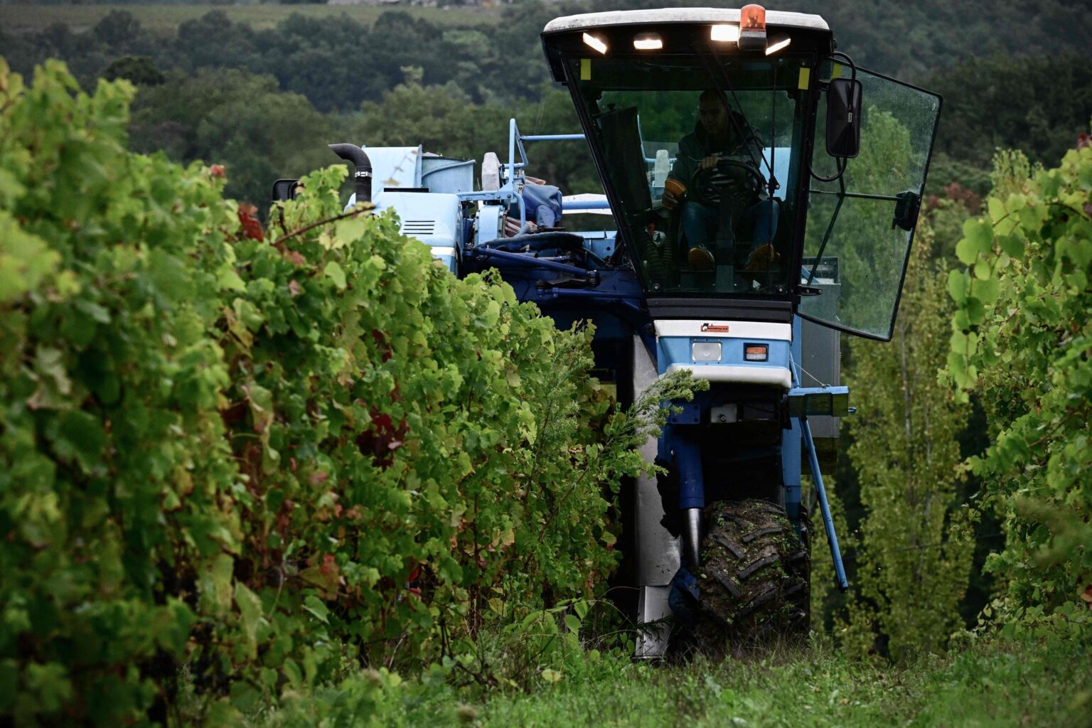 Chinese Investors Exit Bordeaux Vineyards – Vinetur