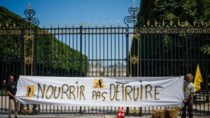France adopts law upholding ban on controversial insecticide – KTEN