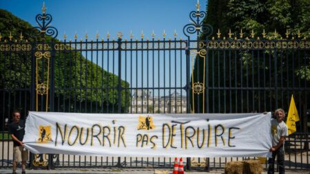 France adopts law upholding ban on controversial insecticide – KTEN