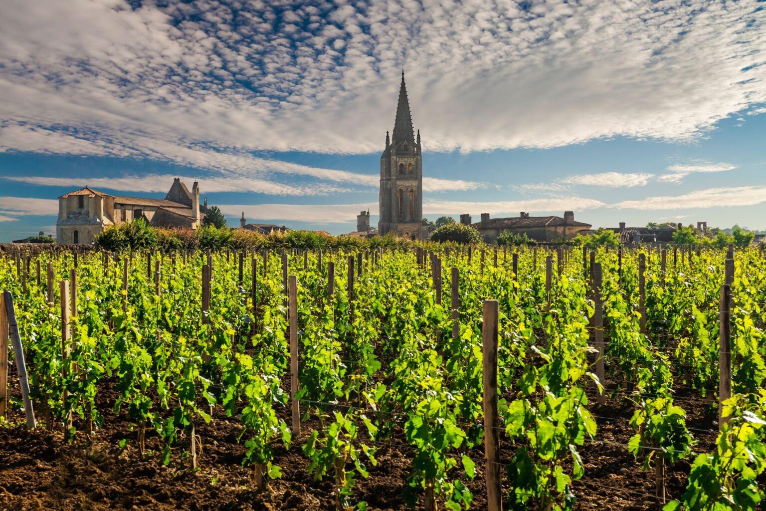 ‘We bought a French vineyard – we had no idea how expensive it would be’ – The Telegraph