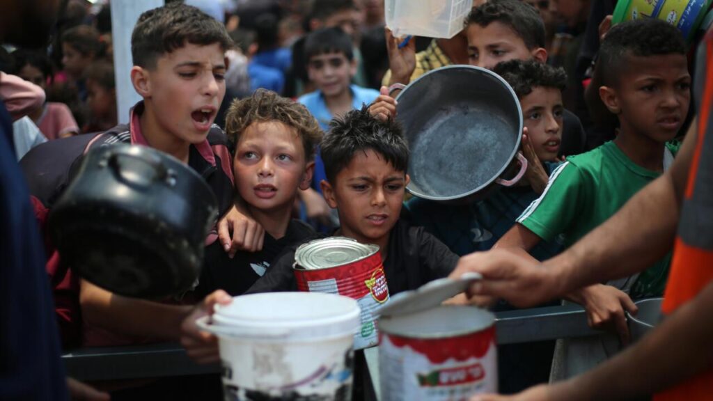 UN says Israel’s ‘weaponisation of food’ in Gaza constitutes a war crime – France 24