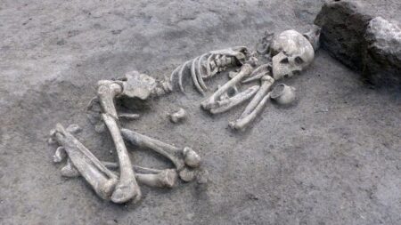 Dozens of Neolithic burials and ‘sacrificed’ urns and ax discovered in France – Live Science