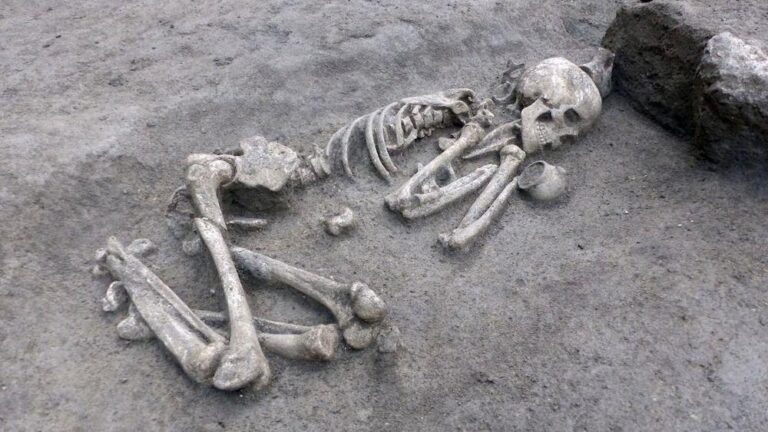 Dozens of Neolithic burials and ‘sacrificed’ urns and ax discovered in France – Live Science