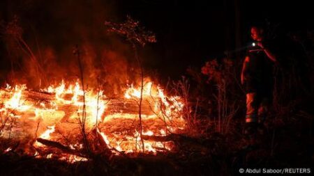 France’s largest wildfire in decades burns homes, forest near Toulouse – msn.com