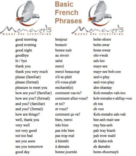 Learning French: phrases overheard in France during la canicule – The Connexion