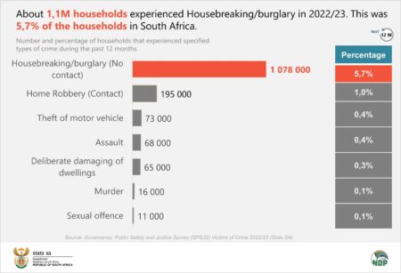 Growing crime rate in South Africa bolster private security sector – France 24
