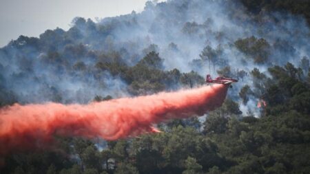 Wildfire on edge of southern French city of Marseille shuts airport and halts trains – France 24