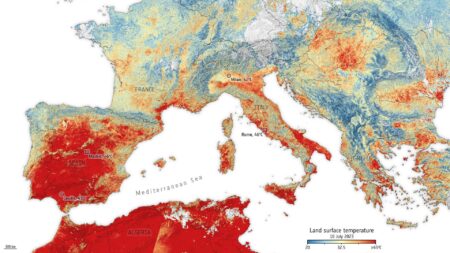A heatwave scorches parts of Europe and fans wildfire threat in southern France – PBS
