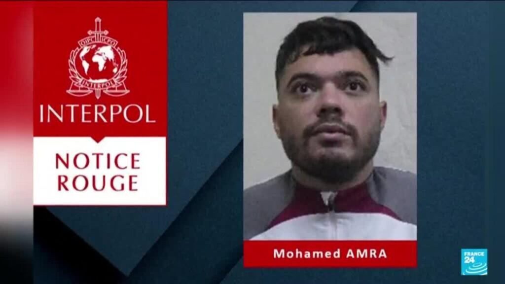 ‘The Fly’ gangster placed under formal investigation upon arrival back in France – France 24