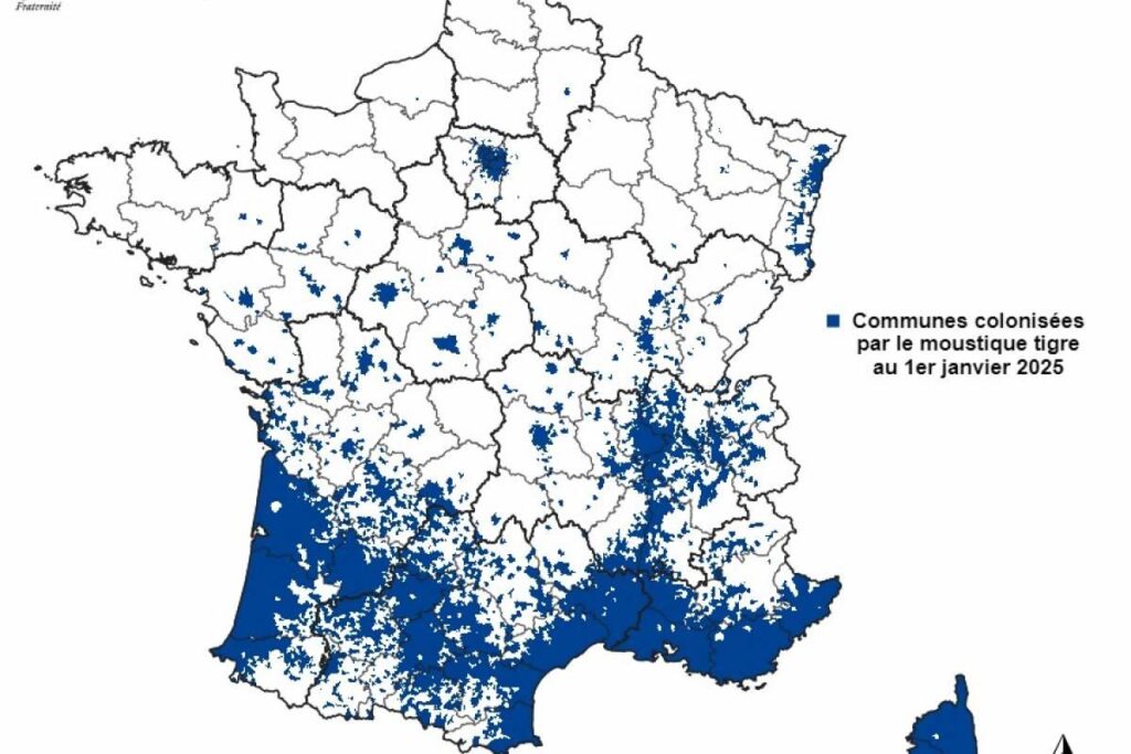 Chikungunya Has Become Local in France – Vax-Before-Travel