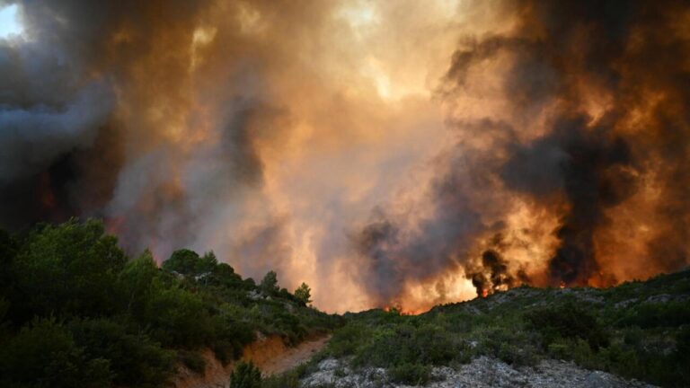 France wildfire shuts down Marseille airport, halts trains – Phys.org