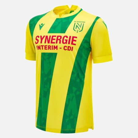 FC Nantes (France) has hired Hong Hyun-seok (26), a midfielder for the Korean national soccer team – 매일경제