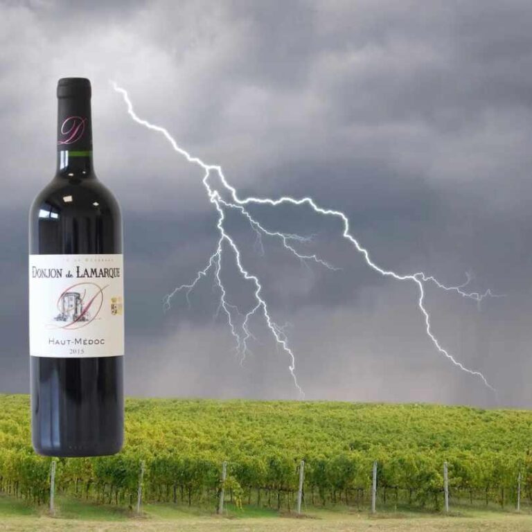 Bordeaux is in crisis – but it’s not all bad news for drinkers – The Telegraph