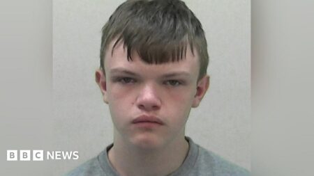 14-Year-Old Pupil Stabs Teacher in France – The European Conservative
