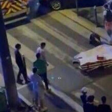 Four pedestrians from the same family mowed down by motorist in the centre of Grenoble – The Mirror