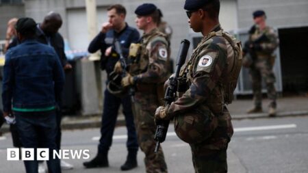 Nantes school stabbing victim was girl, 15, hacked to death by Adolf Hitler-obsessed teen – The Mirror