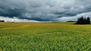 Are Clouds a Neglected Reservoir of Pesticides? – ACS Publications
