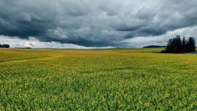 Are Clouds a Neglected Reservoir of Pesticides? – ACS Publications