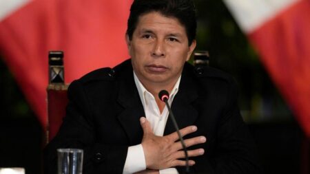 Peru ousts unpopular president blamed for failing to end violent crime – France 24