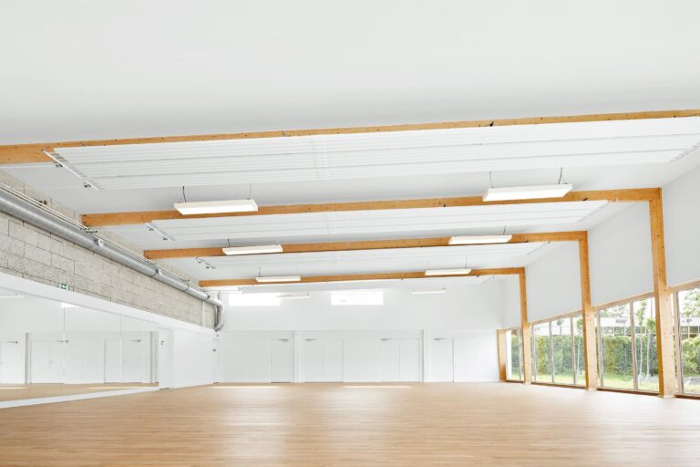 Built of hemp, France’s Pierre Chevet sports hall may become a carbon sink – Reccessary
