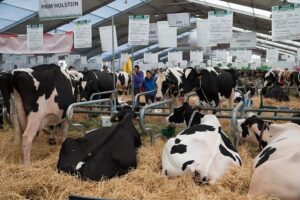Summit of Livestock. Clermont-Ferrand (France) – eComercio Agrario