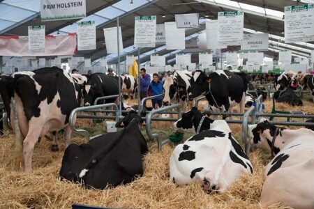 Summit of Livestock. Clermont-Ferrand (France) – eComercio Agrario