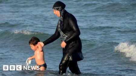 French burkini ban challenged by Grenoble in top court – BBC