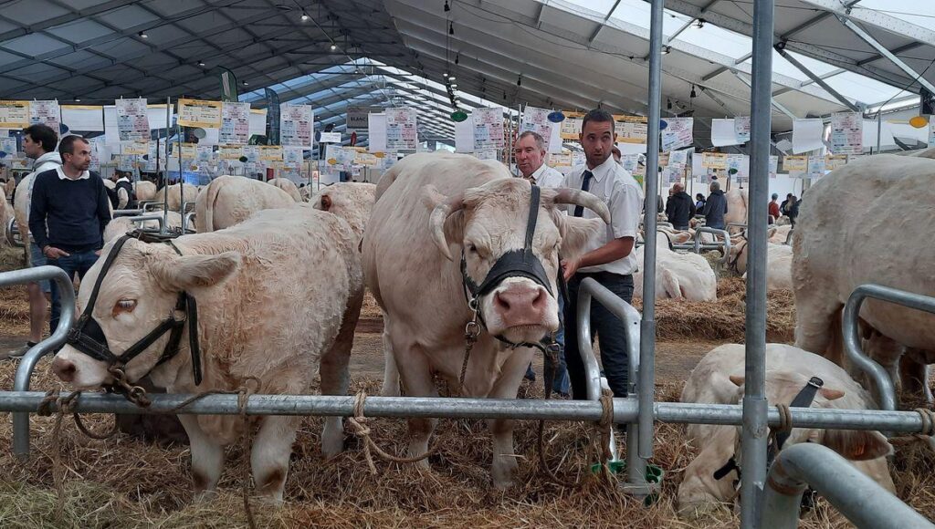 Morocco Named Guest of Honor at 34th Clermont-Ferrand Livestock Summit in France – Barlaman Today