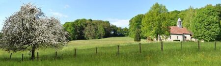 Official | Brice Samba joins Rennes from Lens – Get French Football News