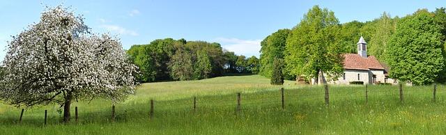 Official | Brice Samba joins Rennes from Lens – Get French Football News
